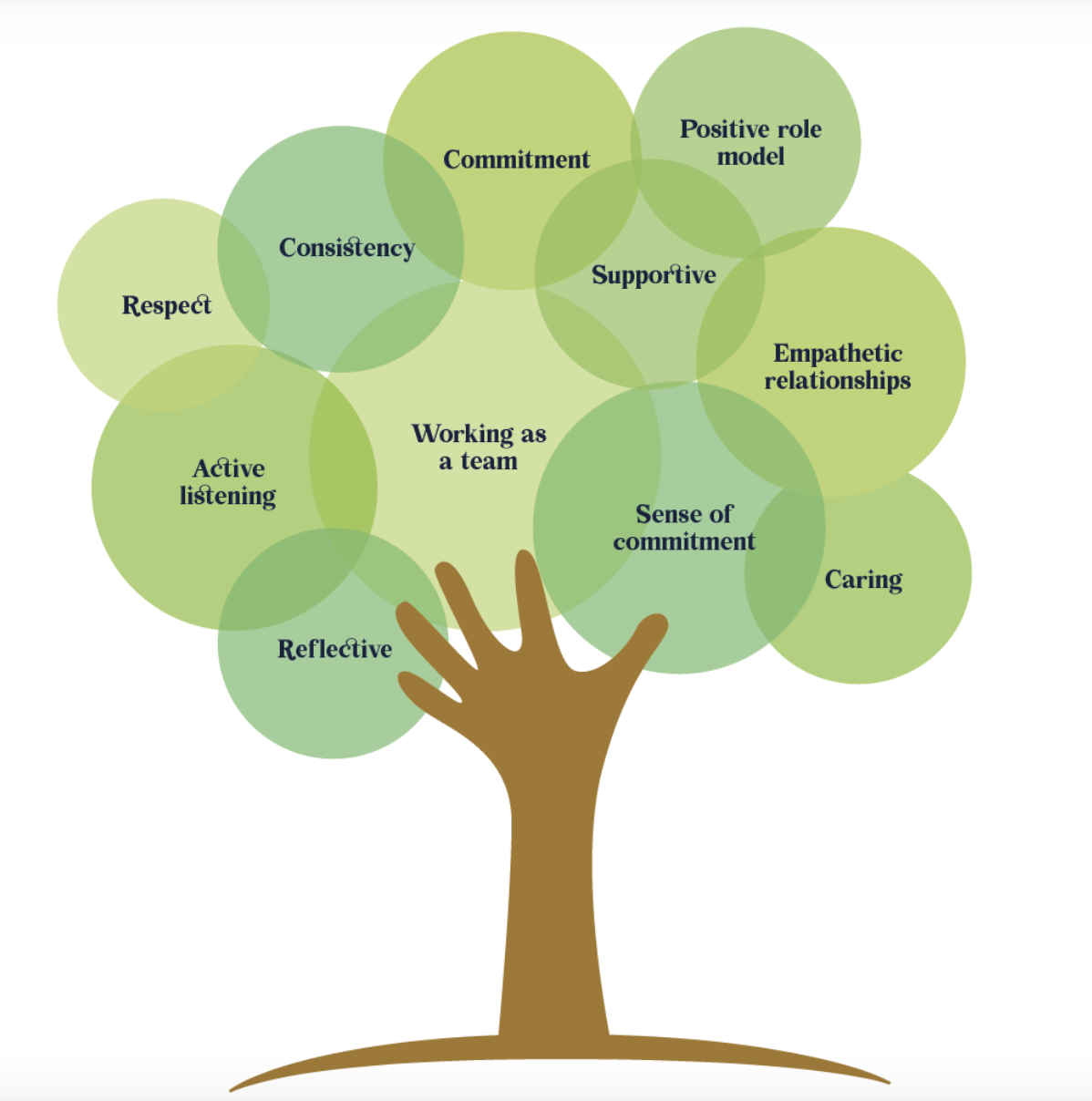 Model of Care